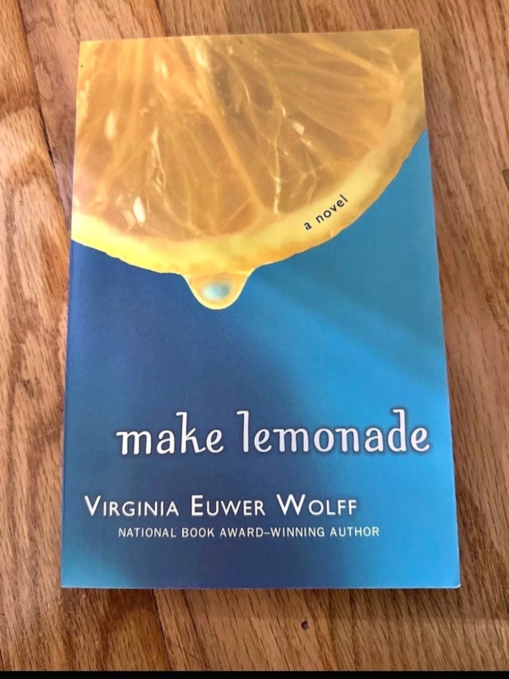 Make Lemonade Virginia Euwer Wolff Book